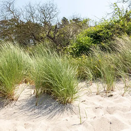 Appartamento Schmidt - Strandhaus Direkt Am Mit Sauna, Sport Und Duenengarten - Komfort