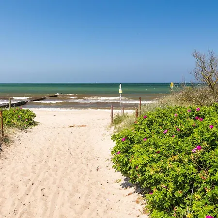 Schmidt - Strandhaus Direkt Am Mit Sauna, Sport Und Duenengarten - Komfort